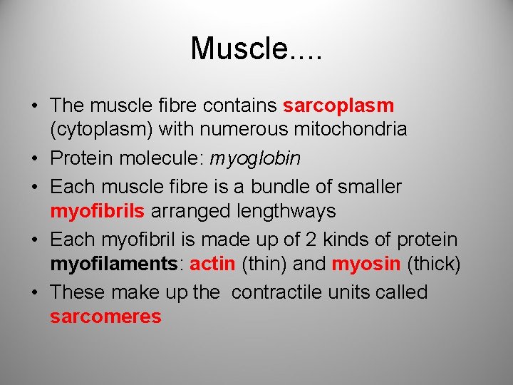 Muscle. . • The muscle fibre contains sarcoplasm (cytoplasm) with numerous mitochondria • Protein