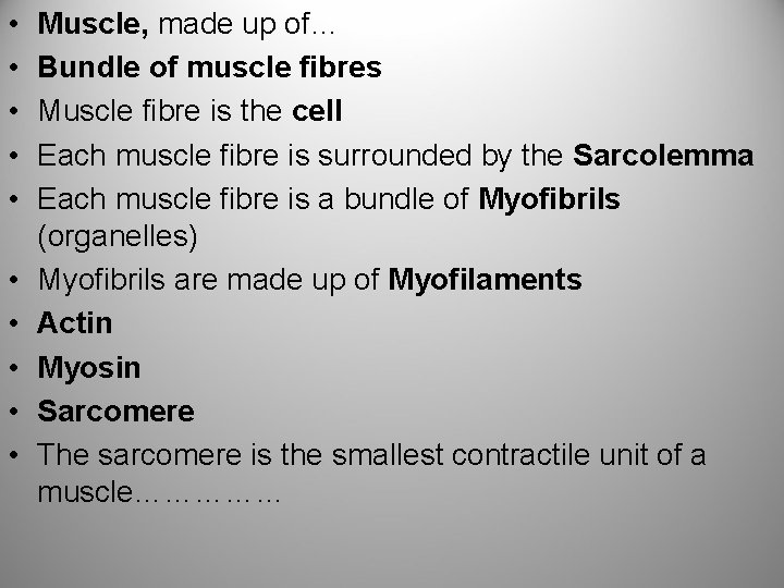  • • • Muscle, made up of… Bundle of muscle fibres Muscle fibre