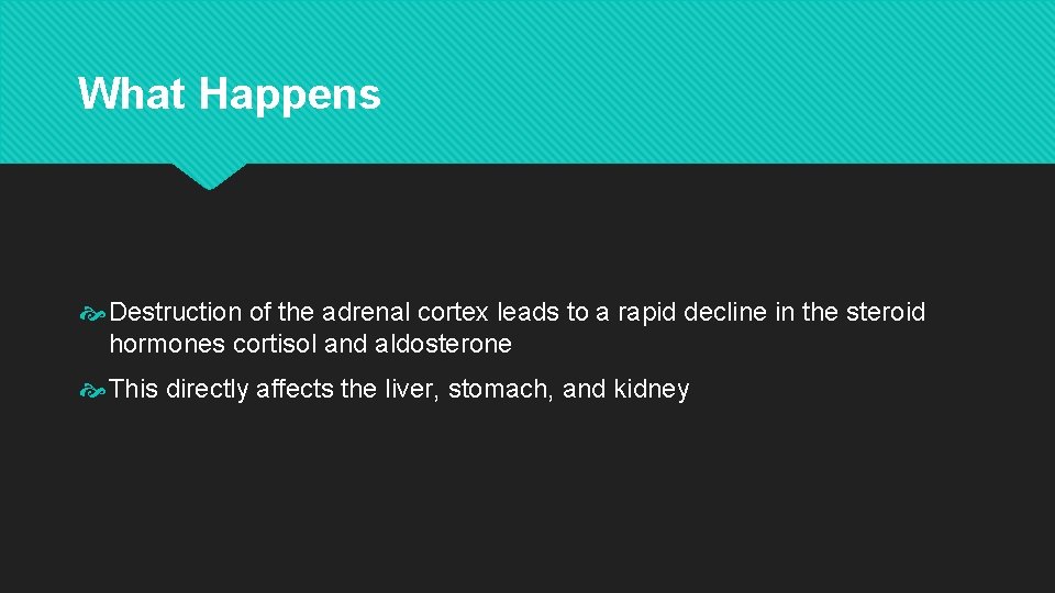 What Happens Destruction of the adrenal cortex leads to a rapid decline in the What Happens Destruction of the adrenal cortex leads to a rapid decline in the