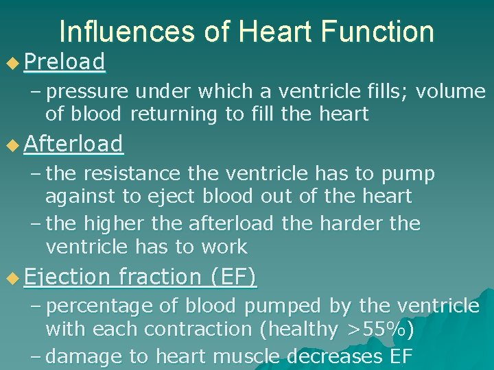 Influences of Heart Function u Preload – pressure under which a ventricle fills; volume