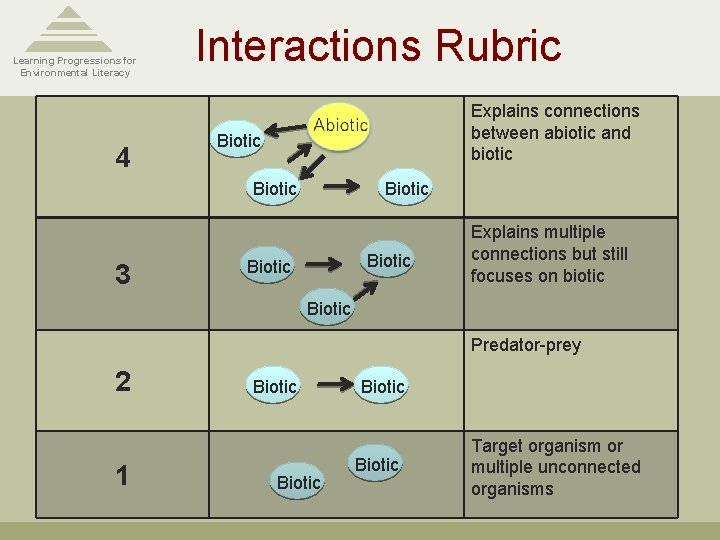 Learning Progressions for Environmental Literacy 4 Interactions Rubric Explains connections between abiotic and biotic
