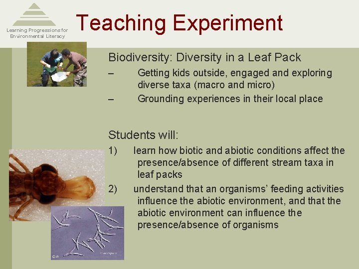 Learning Progressions for Environmental Literacy Teaching Experiment Biodiversity: Diversity in a Leaf Pack –