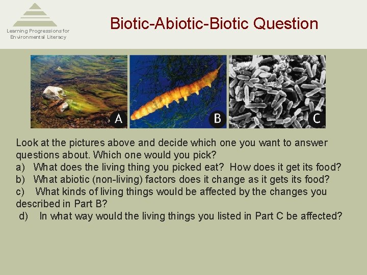 Learning Progressions for Environmental Literacy Biotic-Abiotic-Biotic Question Look at the pictures above and decide