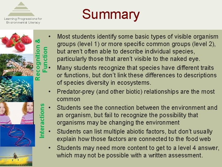 Interactions Recognition & Function Learning Progressions for Environmental Literacy Summary • Most students identify