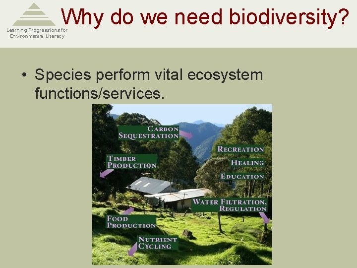 Why do we need biodiversity? Learning Progressions for Environmental Literacy • Species perform vital