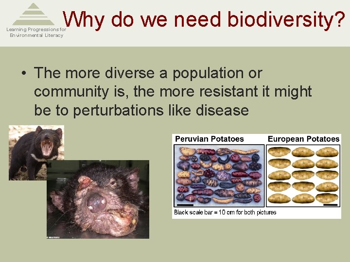 Why do we need biodiversity? Learning Progressions for Environmental Literacy • The more diverse