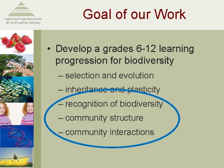 Learning Progressions for Environmental Literacy Goal of our Work • Develop a grades 6