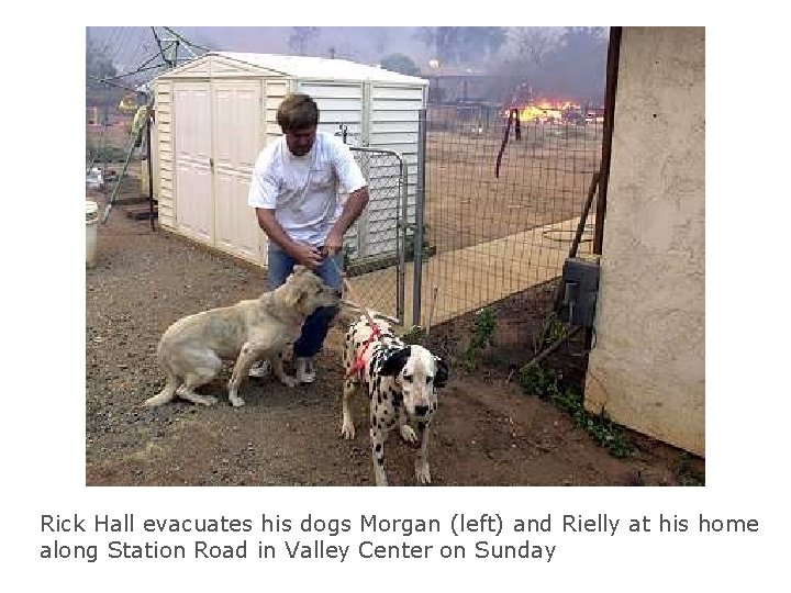 Rick Hall evacuates his dogs Morgan (left) and Rielly at his home along Station