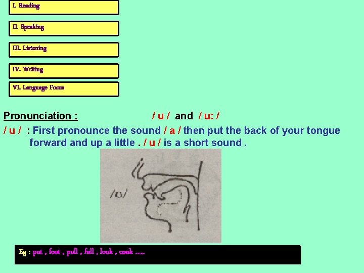 I. Reading II. Speaking III. Listening IV. Writing VI. Language Focus Pronunciation : /