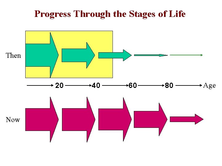 Progress Through the Stages of Life Then 20 Now 40 60 80 Age 