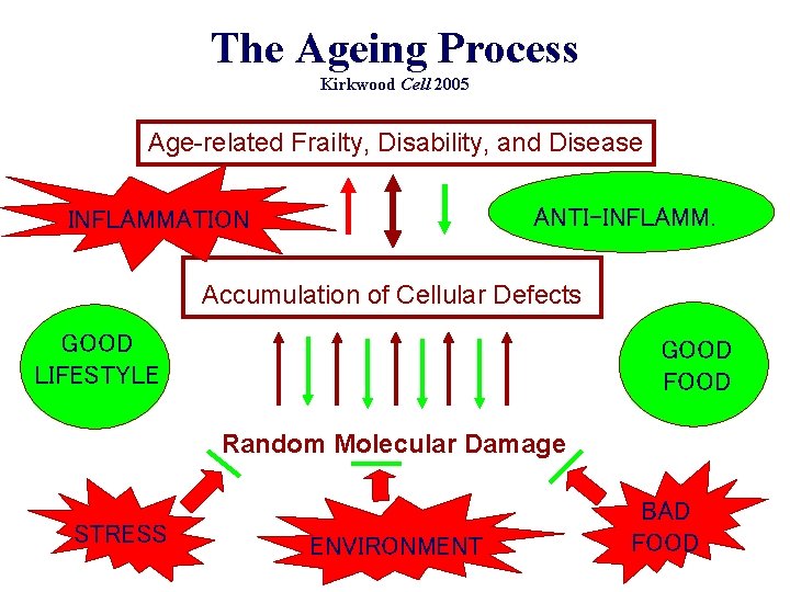 The Ageing Process Kirkwood Cell 2005 Age-related Frailty, Disability, and Disease ANTI-INFLAMM. INFLAMMATION Accumulation