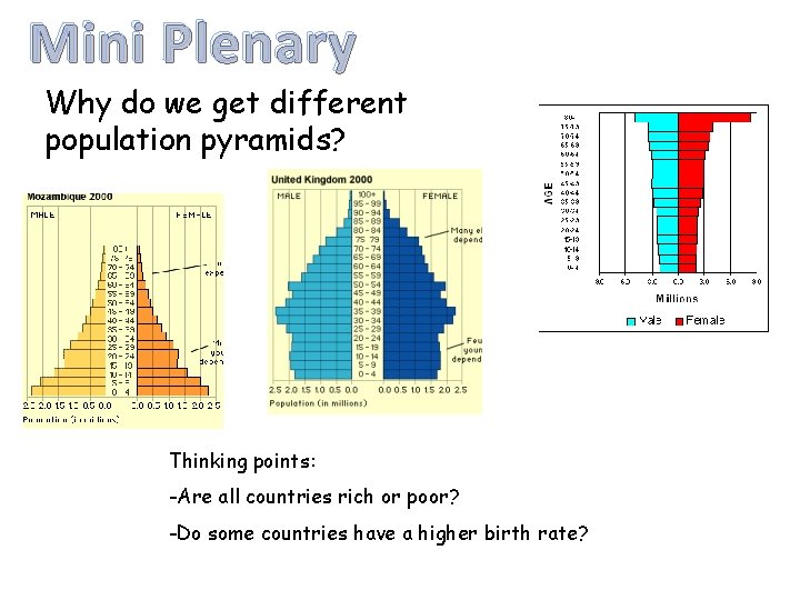 Mini Plenary Why do we get different population pyramids? Thinking points: -Are all countries