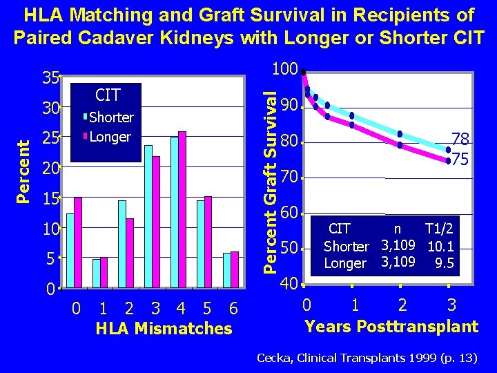 HLA Matching and Graft Survival in Recipients of Paired Cadaver Kidneys with Longer or