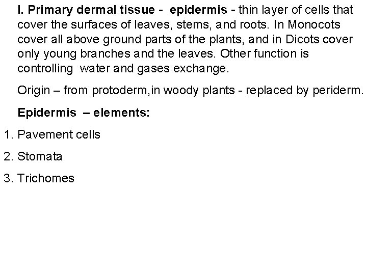 I. Primary dermal tissue - epidermis - thin layer of cells that cover the