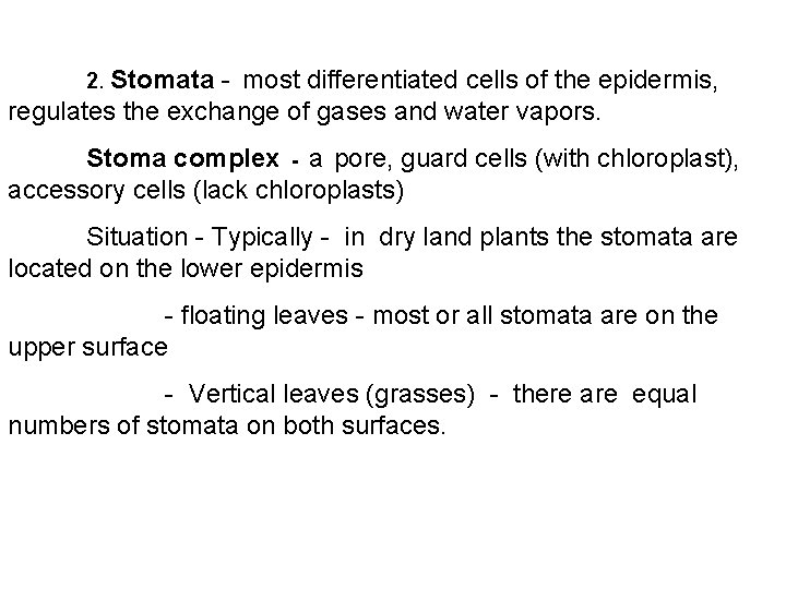 2. Stomata - most differentiated cells of the epidermis, regulates the exchange of gases