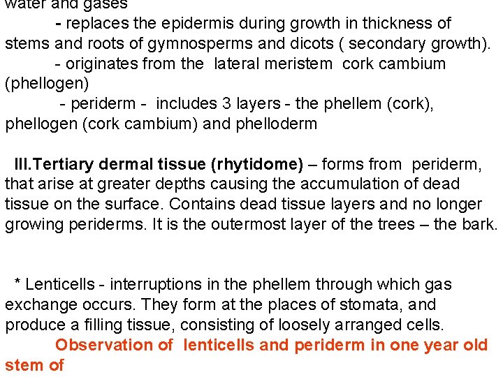 water and gases - replaces the epidermis during growth in thickness of stems and