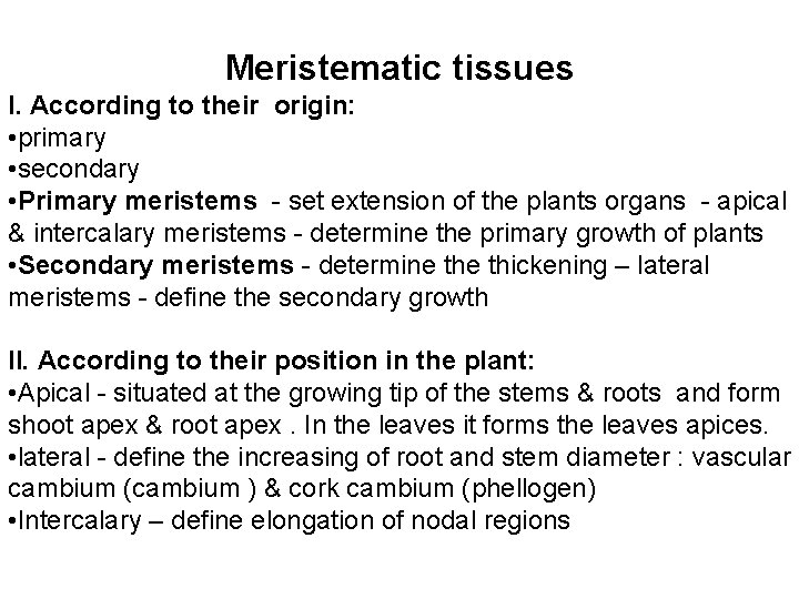 Meristematic tissues I. According to their origin: • primary • secondary • Primary meristems