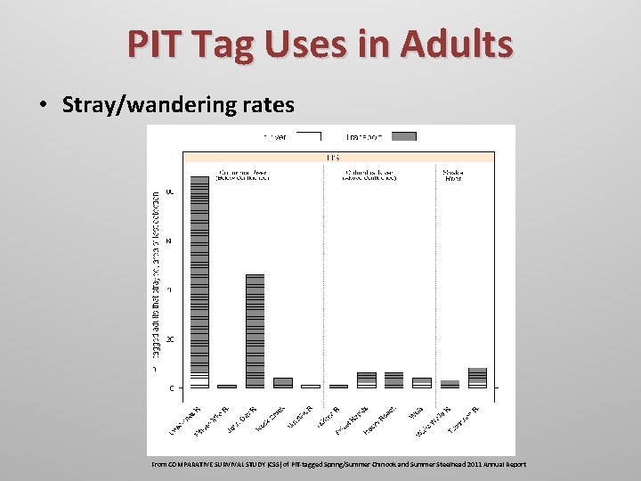 PIT Tag Uses in Adults • Stray/wandering rates From COMPARATIVE SURVIVAL STUDY (CSS) of