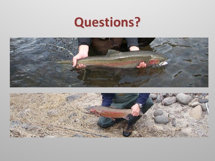 Questions? 