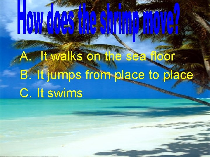 A. It walks on the sea floor B. It jumps from place to place
