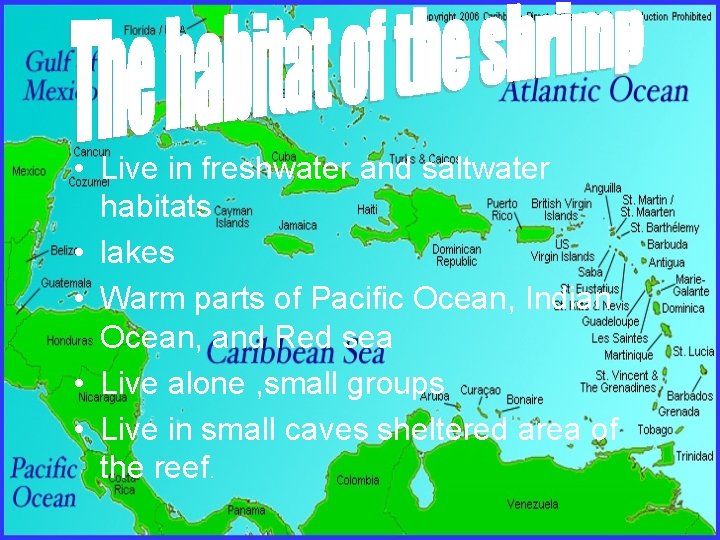  • Live in freshwater and saltwater habitats • lakes • Warm parts of