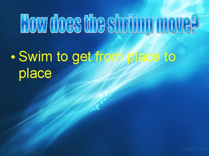  • Swim to get from place to place 
