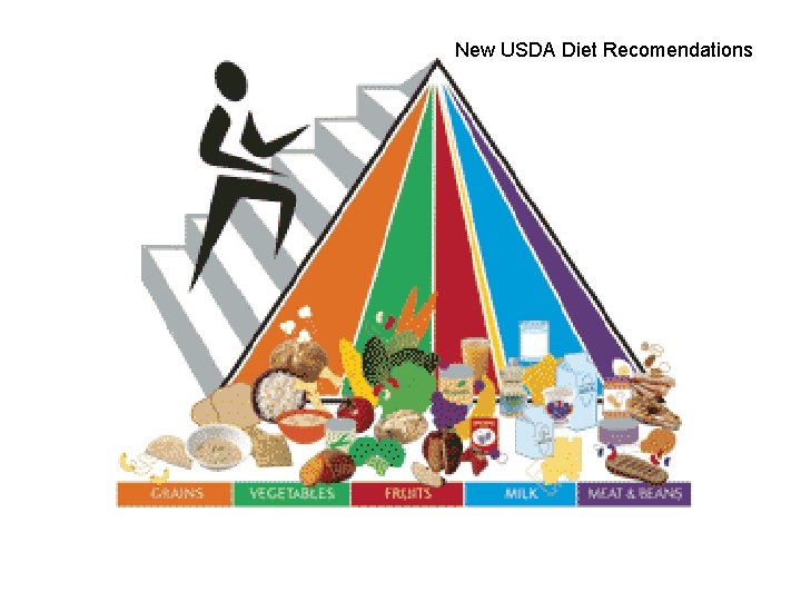 New USDA Diet Recomendations 