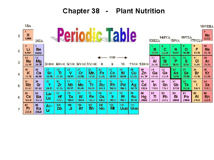 Chapter 38 - Plant Nutrition 