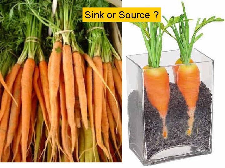 Sink or Source ? 
