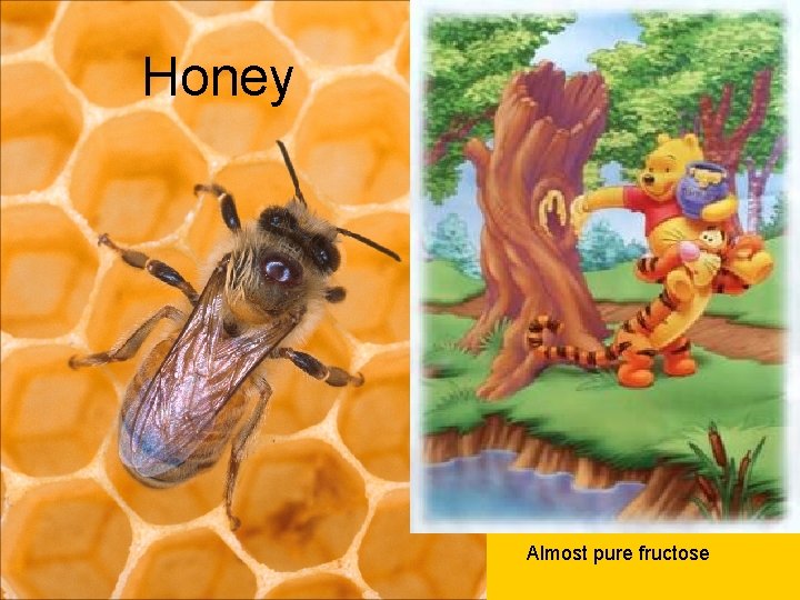 Honey Almost pure fructose 