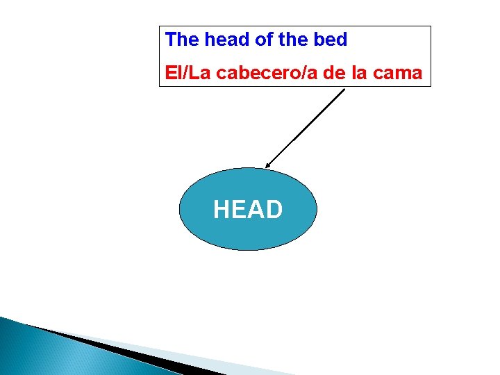 The head of the bed El/La cabecero/a de la cama HEAD 
