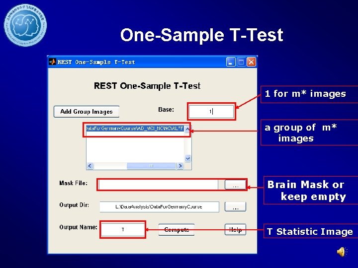 One-Sample T-Test 1 for m* images a group of m* images Brain Mask or