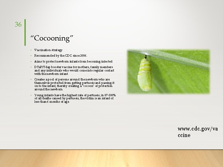 36 “Cocooning” • Vaccination strategy • Recommended by the CDC since 2006. • Aims