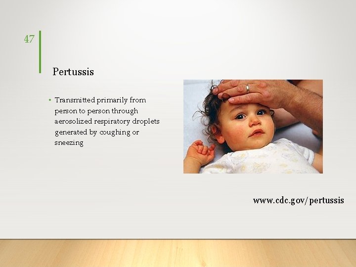 47 Pertussis • Transmitted primarily from person to person through aerosolized respiratory droplets generated