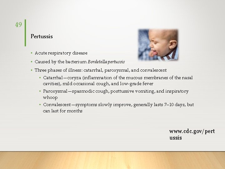 49 Pertussis • Acute respiratory disease • Caused by the bacterium Bordetella pertussis •