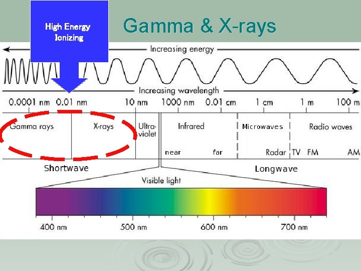  Gamma & X-rays High Energy Ionizing 