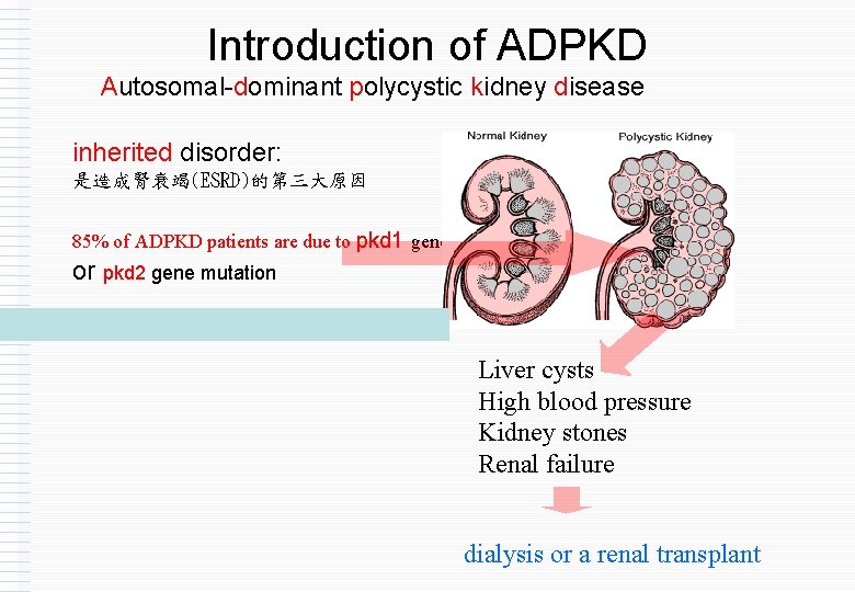 Introduction of ADPKD Autosomal-dominant polycystic kidney disease inherited disorder: 是造成腎衰竭(ESRD)的第三大原因 85% of ADPKD patients