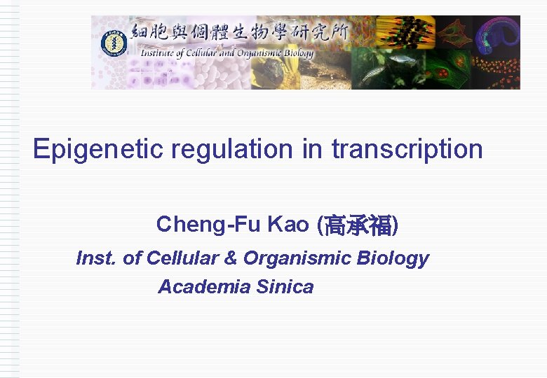 Epigenetic regulation in transcription Cheng-Fu Kao (高承福) Inst. of Cellular & Organismic Biology Academia
