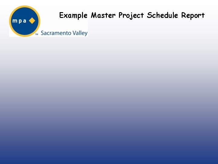 Example Master Project Schedule Report 