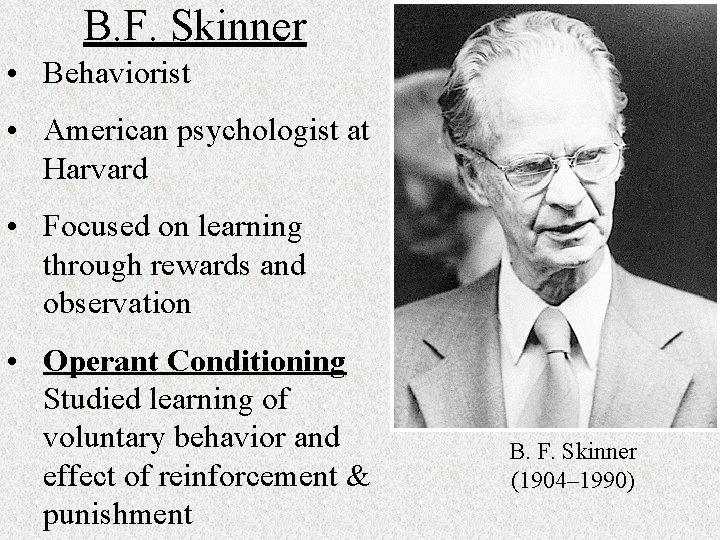 B. F. Skinner • Behaviorist • American psychologist at Harvard • Focused on learning