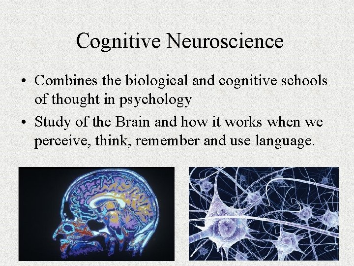 Cognitive Neuroscience • Combines the biological and cognitive schools of thought in psychology •