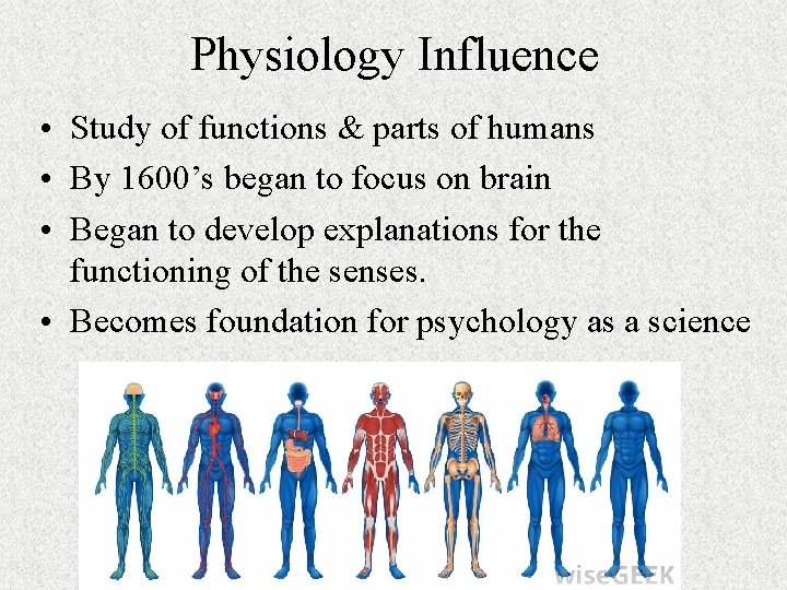 Physiology Influence • Study of functions & parts of humans • By 1600’s began