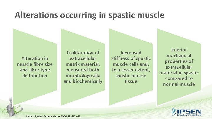 Alterations occurring in spastic muscle Alteration in muscle fibre size and fibre type distribution