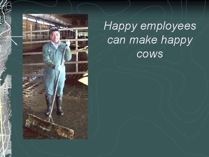 Happy employees can make happy cows 