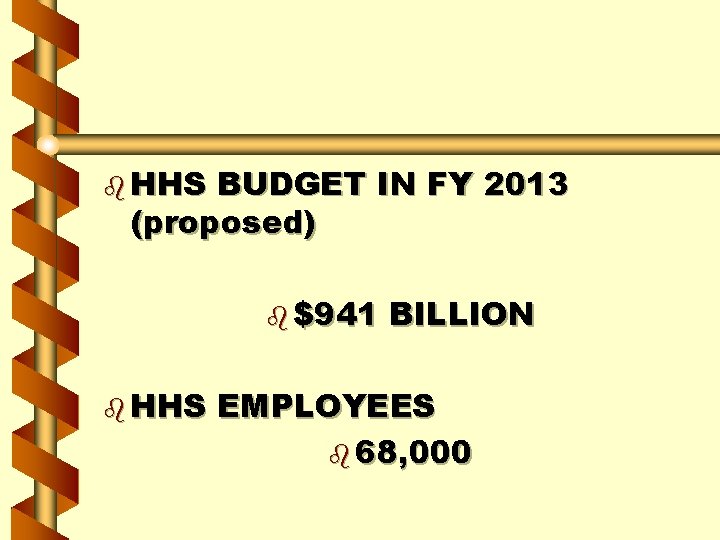 b HHS BUDGET IN FY 2013 (proposed) b $941 b HHS BILLION EMPLOYEES b