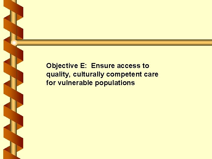 Objective E: Ensure access to quality, culturally competent care for vulnerable populations 