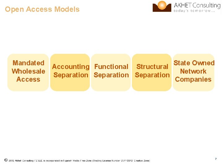Open Access Models Mandated State Owned Accounting Functional Structural Wholesale Network Separation Access Companies
