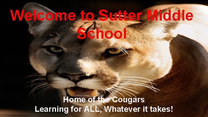 Welcome to Sutter Middle School Home of the Cougars Learning for ALL, Whatever it