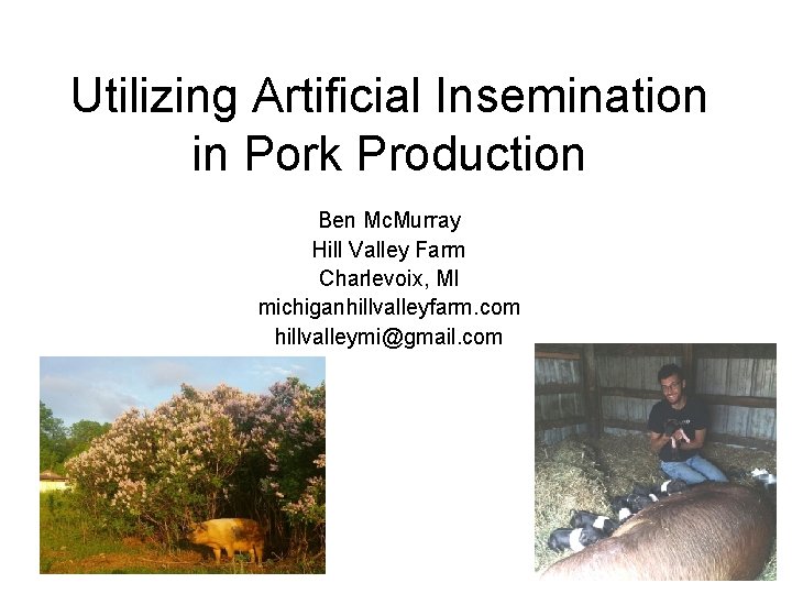 Utilizing Artificial Insemination in Pork Production Ben Mc. Murray Hill Valley Farm Charlevoix, MI