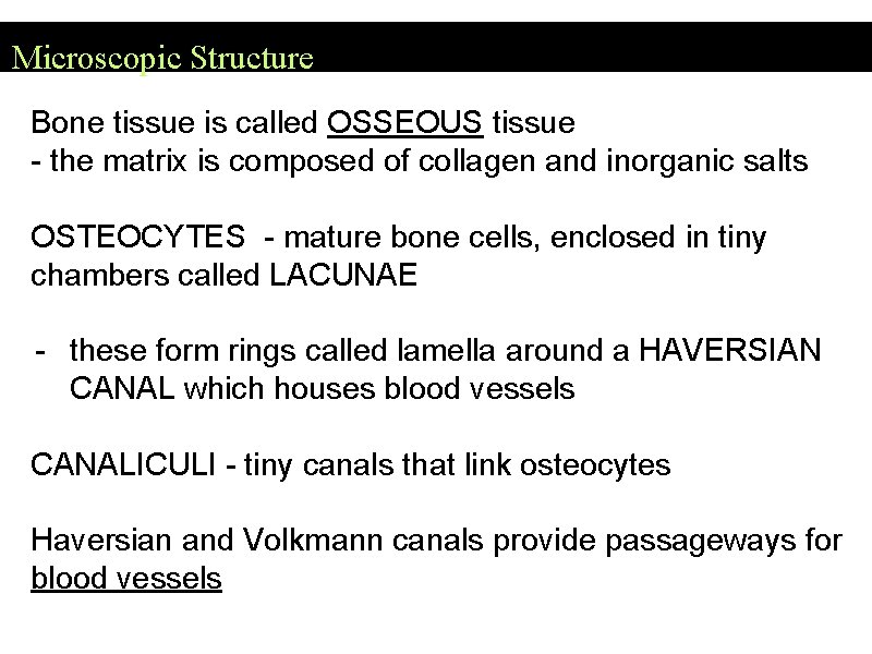 Microscopic Structure Bone tissue is called OSSEOUS tissue - the matrix is composed of